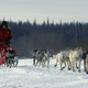 Illustration for article titled Were Still Murdering Sled Dogs